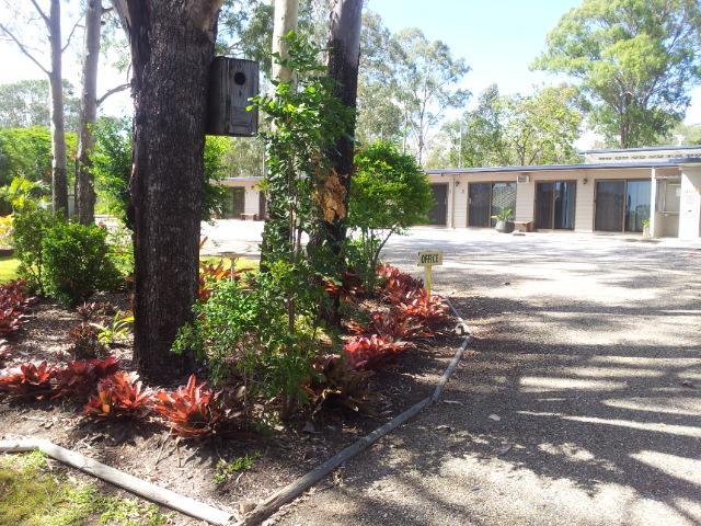 Benaraby Greenacres Motel / Van Park מראה חיצוני תמונה